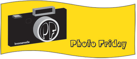 Photo Friday logo
